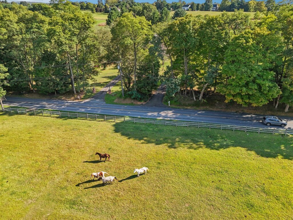 imgi_86_large-019941cf-05e7-736f-b218-554cec7a1648 imgi_86_large-019941cf-05e7-736f-b218-554cec7a1648
